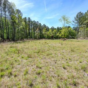 Ground Photos - Taylor Jackson-8