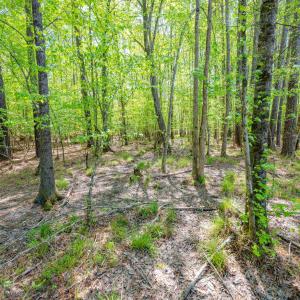 Ground Photos - Taylor Jackson-9