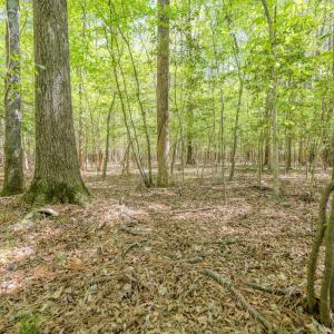 Ground Photos - Taylor Jackson-10