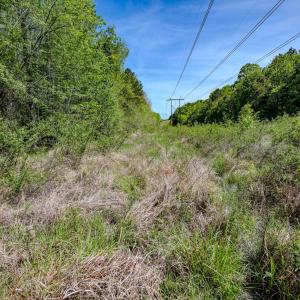 Ground Photos - Taylor Jackson-11