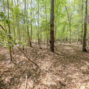 Ground Photos - Taylor Jackson-12