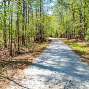 Ground Photos - Taylor Jackson