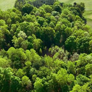DJI_20260415095000_0005_V