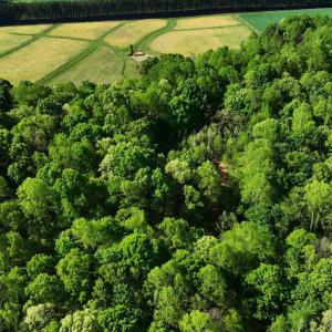 DJI_20260415095050_0007_V