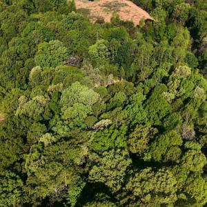 DJI_20260415095213_0008_V
