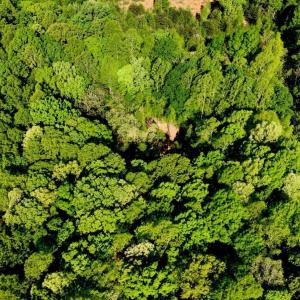 DJI_20260415095230_0009_V