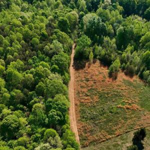 DJI_20260415095440_0012_V