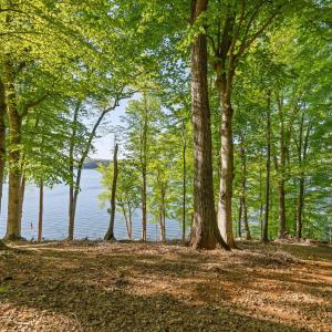 3-web-or-mls-Harbor-Dr-3