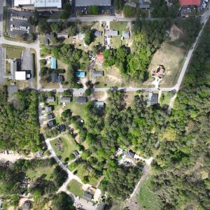 Virgina_Selma_NoLabel