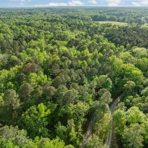 1-web-or-mls-DJI_0797