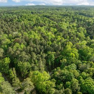 2-web-or-mls-DJI_0800