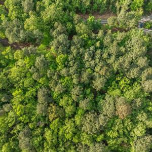 6-web-or-mls-DJI_0809