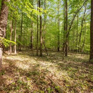 13-web-or-mls-P1119870