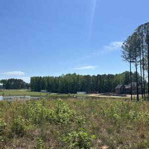 centeroflotlookingright