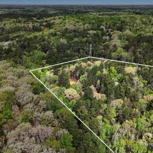 017_dji_20260406080939_0035_d_696