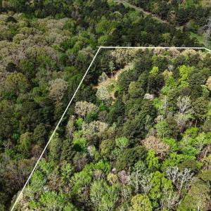 018_dji_20260406081213_0065_d__644