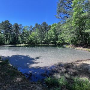 IMG_4058