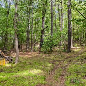 6-web-or-mls-DJI_20260413154353_0516_D