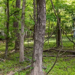 7-web-or-mls-DJI_20260413154405_0517_D