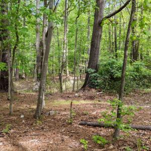 8-web-or-mls-DJI_20260413154510_0518_D