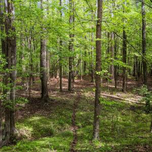 9-web-or-mls-DJI_20260413154607_0519_D