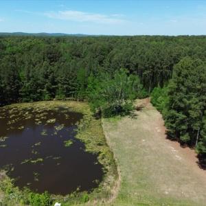 Pond