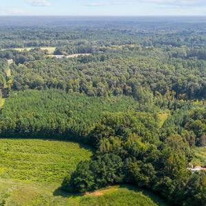 9-web-or-mls-DJI_20240826152520_0800_D