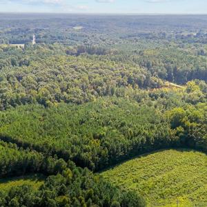 7-web-or-mls-DJI_20240826152454_0798_D