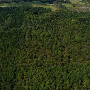 DJI_0371