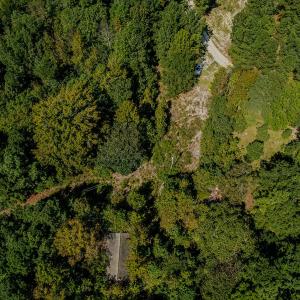 DJI_0381