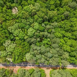 13-631-633 Clayton Rd