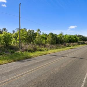 25-web-or-mls-15-IMG_9957