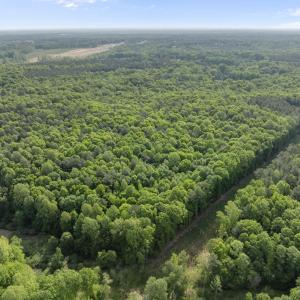 5-web-or-mls-DJI_0187