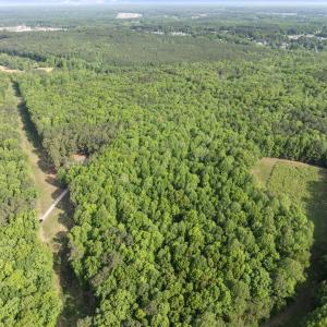 8-web-or-mls-DJI_0190