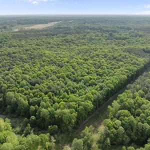5-web-or-mls-DJI_0187