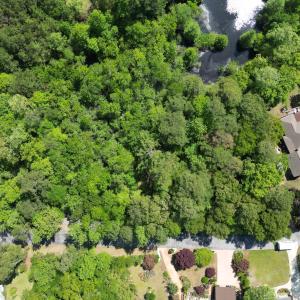DJI_0206 (1)