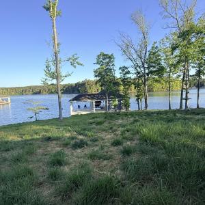 IMG_7385