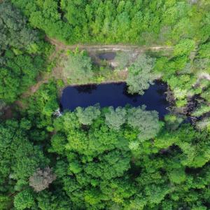 Photo Apr 17 2026, 12 39 56 PM