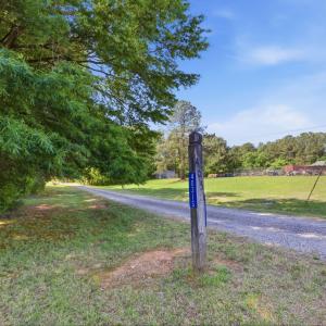 3-web-or-mls-DX3A5585