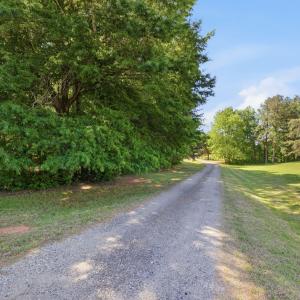 4-web-or-mls-DX3A5590