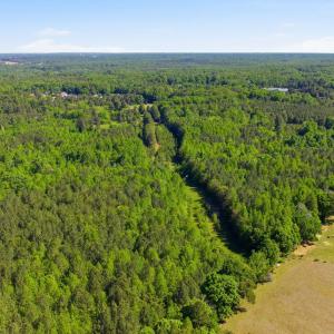 7-web-or-mls-DJI_0280