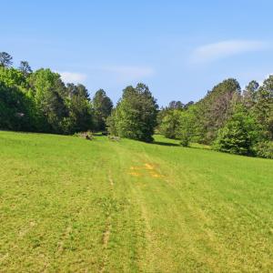 10-web-or-mls-DJI_0307