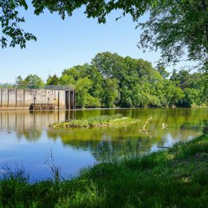 15 Acres Nottingham Rd Jonio 10