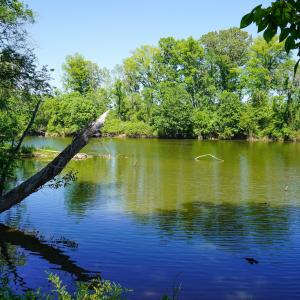 15 Acres Nottingham Rd Jonio 11