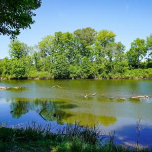 15 Acres Nottingham Rd Jonio 12