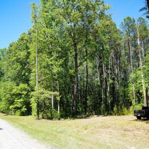 15 Acres Nottingham Rd Jonio 13