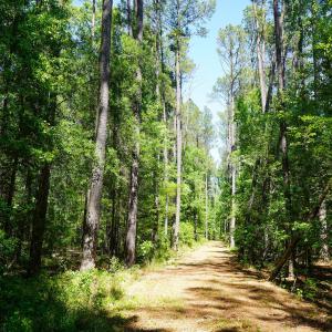 15 Acres Nottingham Rd Jonio 15