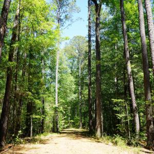 15 Acres Nottingham Rd Jonio 17