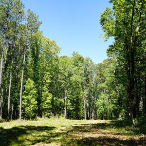 15 Acres Nottingham Rd Jonio 18