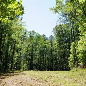 15 Acres Nottingham Rd Jonio 22